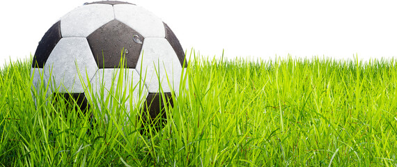 Soccer ball on a grass field, isolated on a white background. Transparent background, PNG file. Realistic soccer ball on the soccer field, 3d render. Ball with dew drops © Om.Nom.Nom