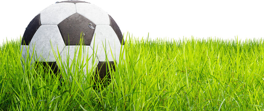 Soccer ball on a grass field, isolated on a white background. Transparent background, PNG file. Realistic soccer ball on the soccer field, 3d render. Ball with dew drops