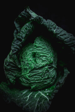 Dramatic image of green fresh cabbage