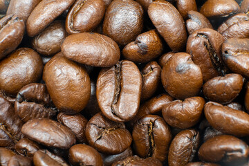 Close-up of roasted coffee beans