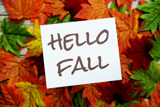 Hello Fall text message with maple leaves on wooden background