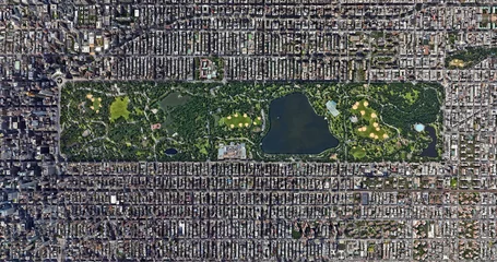 Deurstickers Central Park The artificial forest, the haunted forest, New York,