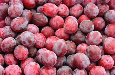 food fruit plums. Texture background of fresh plums