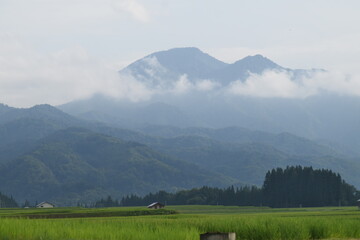 Obraz premium 田と山 夏