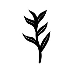 Black and white botanical vector illustration grass in doodle cartoon style hand drawn.v Minimal decorative natural art isolated on white background.