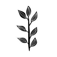 Black and white botanical vector illustration grass in doodle cartoon style hand drawn.v Minimal decorative natural art isolated on white background.