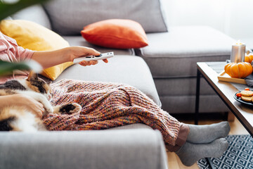 Woman with plaid selecting movie with remote controller and stroking multicolored cat pet on the...