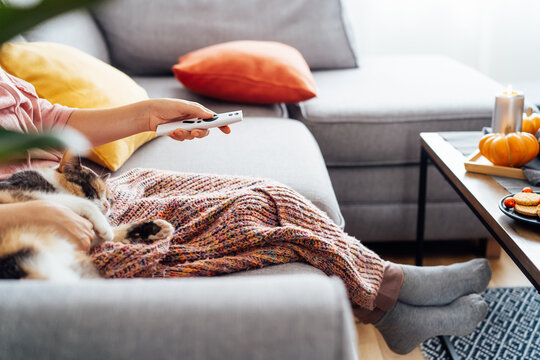 Woman With Plaid Selecting Movie With Remote Controller And Stroking Multicolored Cat Pet On The Sofa. Movie Night Party At Home With Sweets And Hot Drinks. Cozy Autumn Holidays. Selective Focus