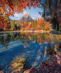 Vivid colours autumn view of Welsperg lake. Calm morning scene of Tonadico, Province of Trento,...