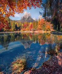 Poster Vivid colours autumn view of Welsperg lake. Calm morning scene of Tonadico, Province of Trento, Italy, Europe. Splendid landscape of Dolomite Alps. Beauty of nature concept background. © Andrew Mayovskyy