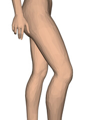 Low poly model of female legs and arms in a sexy pose isolated on white background. 3D. Vector illustration.