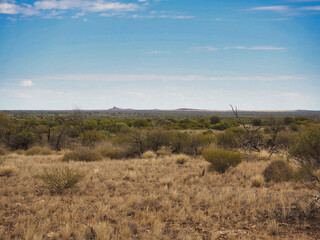 Australian outback landscape