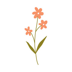 Cute pink flowers with leaves isolated on white background. Vector illustration in hand-drawn flat style. Perfect for cards, logo, decorations, spring and summer designs. Botanical clipart.
