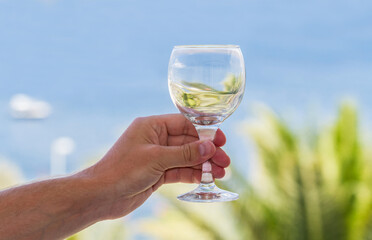 Empty wine glass in male hand on landscape background