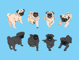 CUTE PUG DOG IN SOME DIFFERENT MOVES VECTOR ILLUSTRATION