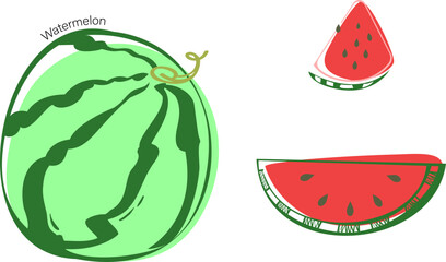 Watermelon and slices in the style of a flat illustration.Sweet berry for advertising,print creativity.