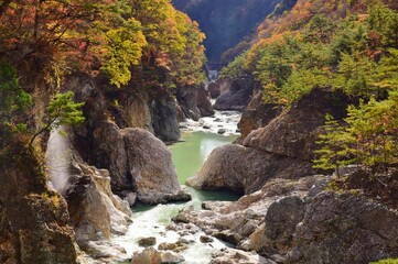 鬼怒川・龍王峡の紅葉