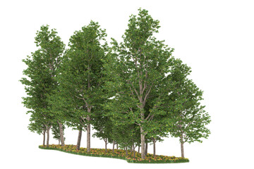 Obraz premium Forest on transparent background. 3d rendering - illustration
