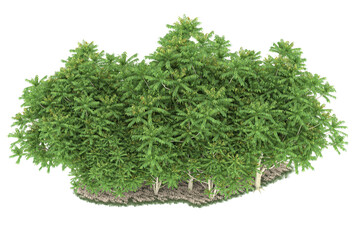 Forest on transparent background. 3d rendering - illustration