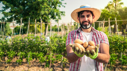 Organic vegetables. Fresh potatoes in the hands of male farmer. Cheerful man