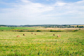 Rural landscapes with fields and haystacks. Agro harvest
