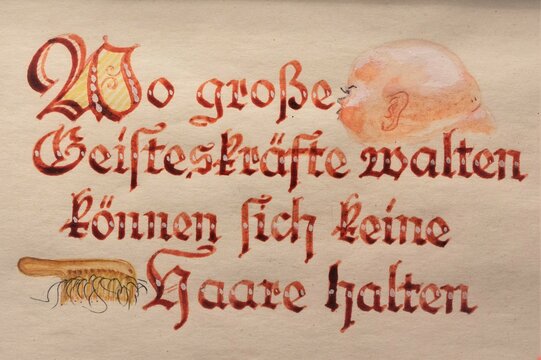 Ein tr&ouml;stender,  humorvoller Spruch f&uuml;r Glatzk&ouml;pfe