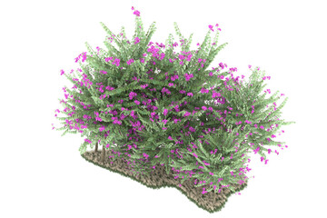 Forest on transparent background. 3d rendering - illustration