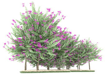 Forest on transparent background. 3d rendering - illustration