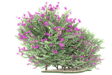 Naklejka premium Forest on transparent background. 3d rendering - illustration