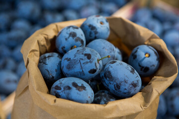 Fresh organic plums straight from the orchard. 
Ripe fruit background with plums.