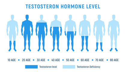 Testosterone level therapy hormone male balance science fertility illustration low level testosterone hormone level. - obrazy, fototapety, plakaty
