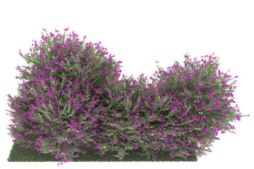 Obraz premium Forest on transparent background. 3d rendering - illustration