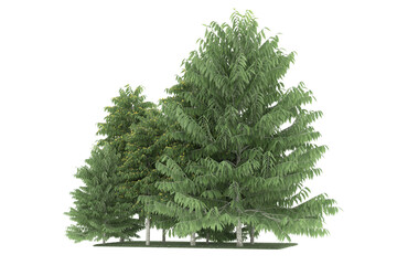 Forest on transparent background. 3d rendering - illustration