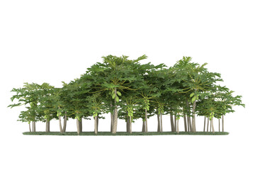 Forest on transparent background. 3d rendering - illustration