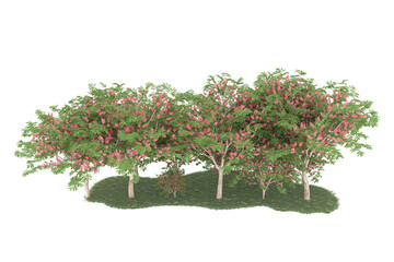 Forest on transparent background. 3d rendering - illustration