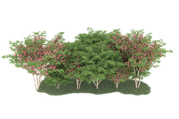 Naklejka premium Forest on transparent background. 3d rendering - illustration