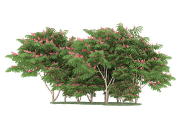 Fototapeta premium Forest on transparent background. 3d rendering - illustration