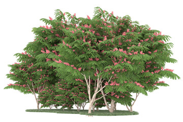 Forest on transparent background. 3d rendering - illustration