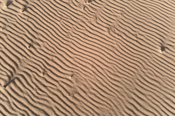 Sand texture with wave pattern. Desert sand background, top view