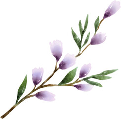Flower branch watercolor illustration