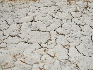 bone dry desert ground showing cracks in the white hard soil