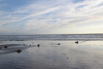 the remains of the petrified forest on Borth beach during low tide