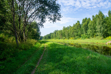 Obraz premium Green summer natural landscape with green grass, river and trees. Design background