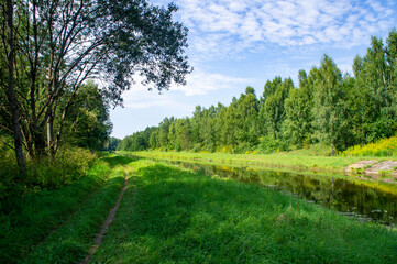 Obraz premium Green summer natural landscape with green grass, river and trees. Design background