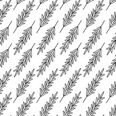 Rosemary. Sketch. A sprig of fragrant spice. Repeating vector pattern. Seamless floral ornament. Abstract background of twigs with leaves. Isolated colorless background. Idea for web design, packaging