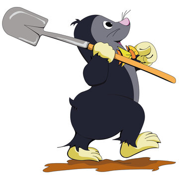 Maulwurf "Herr von Biegel"