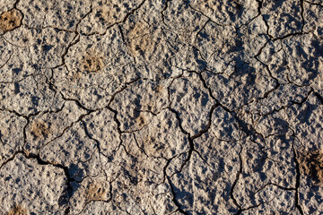 Texture of dry cracked soil. The concept of drought, barren land, disaster. Сracked earth