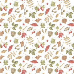 Vector seamless pattern of hawberry branches, berries and fall leaves, nuts. Autumn forest concept. Hawthorn background