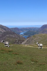 Grasmoor Buttermere lake district wainwrights cumbria