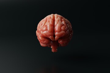Brain on a dark background. Medical concept, brain diseases, mental problems. Operations and treatment of the brain. 3d rendering, 3d illustration.